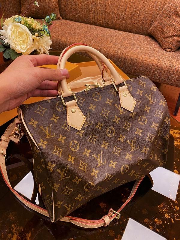 LV Handbags 32